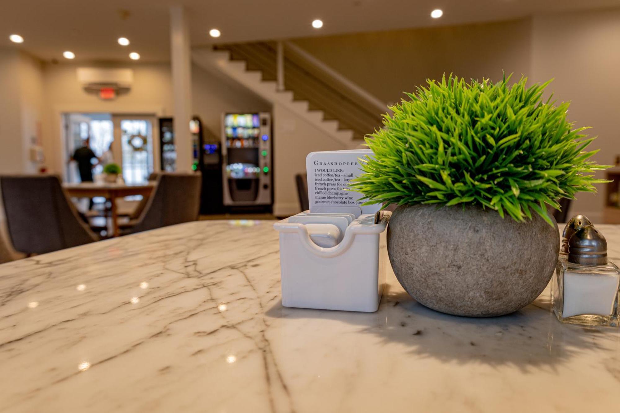 Mini-hôtel Grasshopper